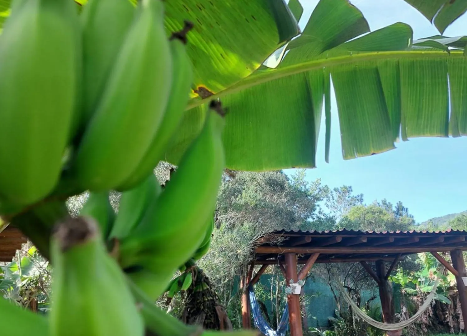 Pousada Raízes da Guarda Guarda do Embaú Estalagem